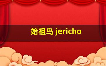 始祖鸟 jericho